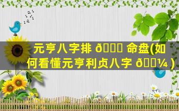 元亨八字排 🕊 命盘(如何看懂元亨利贞八字 🐼 )